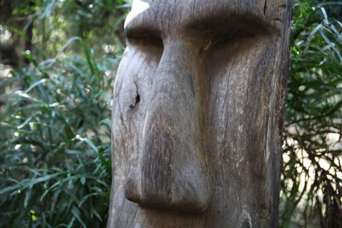 timber carving, easter island, garden statue